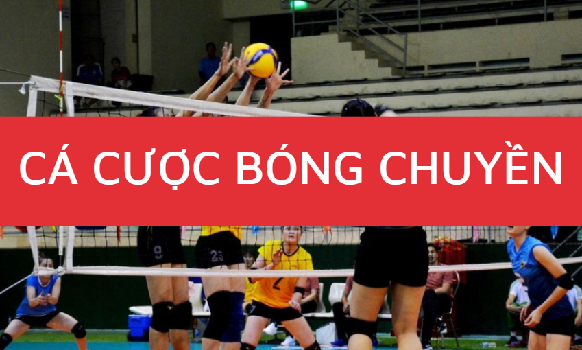 cá cược bóng chuyền 12bet cá cược bóng chuyền 12bet