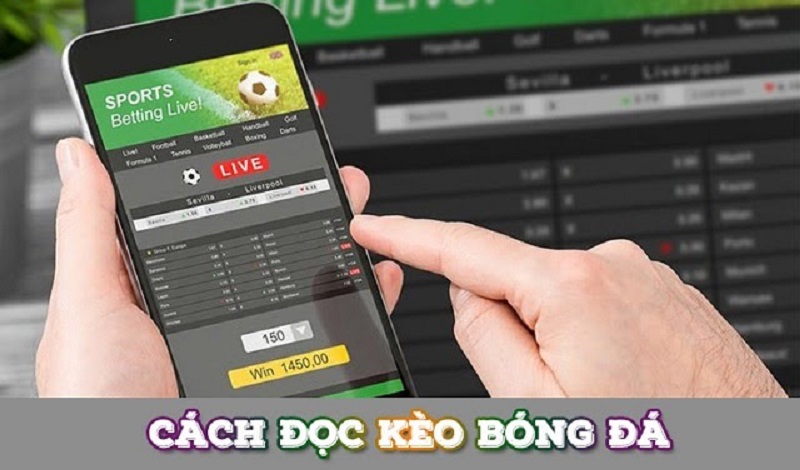 So sánh các loại kèo So sánh các loại kèo