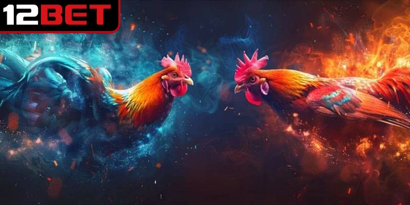 Đá Gà 12BET - Trải Nghiệm Những Cuộc Đấu Kịch Tính 2 Đá gà 12BET là một lựa chọn lý tưởng để trải nghiệm kiếm thưởng