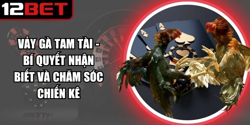 vay ga tam tai